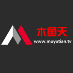 木鱼天
