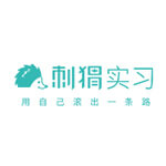 刺猬实习
