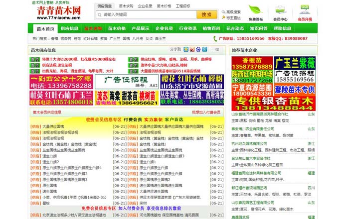 青青苗木网