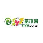 597苗木网