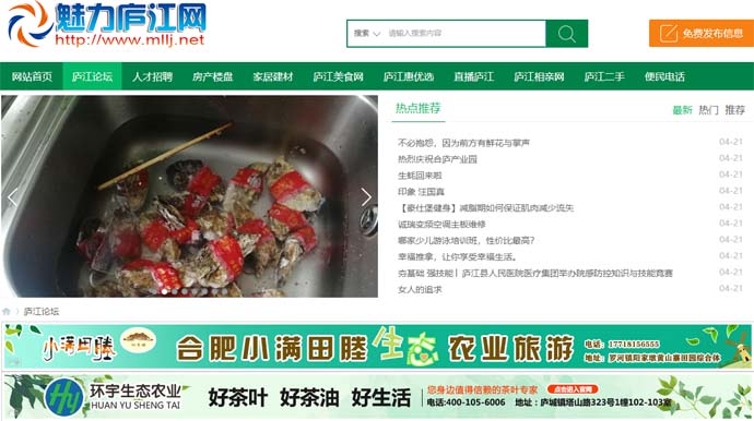 魅力庐江论坛