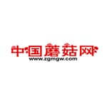 中国蘑菇网