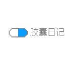 胶囊日记